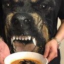 오동도 산아나고 숯불구이 이미지