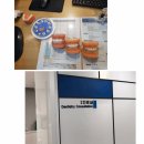 참한이치과의원 네이버블로그