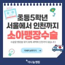 소아맹장수술병원, 새벽에 서울에서 인천까지 초등학생 맹장수술 이야기