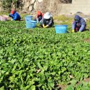 영월군 농업기술센터 농기계임대사업소 이미지