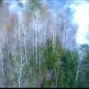 김삿갓면-16 이미지