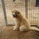 자룡농장 이미지