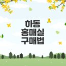 하동 홍매실 특대 사이즈 구매법은