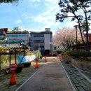 한솔약업사 이미지