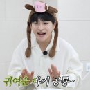 ✨️🦖호잇! 호잇! 호의가 계속되면!--- 뭐더라??🤔 이미지