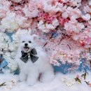 멍's살롱 이미지