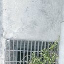 해바라기안마원 이미지