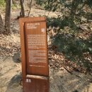 문무도장 | 뚜벅이 할미의 열두 번째 발 도장 ㅣ 영주 부석사/무섬마을