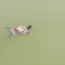 운암지 수변공원 이미지