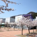 전라북도도립미술관 이미지