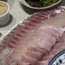 조아유 | 청주 대방어맛집 조아유 방어,광어,숭어후기