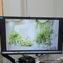 경기도 새마을회 | 수원 돌잔치 준비 1편 | 돌잔치 예약시기? 플로렌스 파티하우스 방문상담 후기