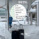 (주)굿뉴스여행사 | 에어서울 결항 + 현대해상 단체보험 청구 후기 (요나고 2박 더 하게 된 썰💸)