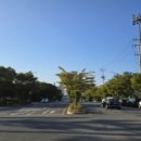 팔마주경기장 이미지