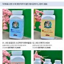 법무사사무소세움 | 강아지눈물제거 천연수제영양파우더 출시 특허출원