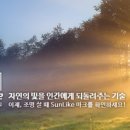 주식회사 라이크