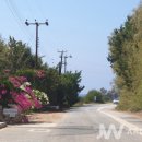 파란바다약국 이미지