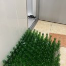 구평동-7 | 구미 구평동 "고향참숯구이" 방문후기