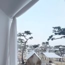 펜션캐빈 | 제부도 애견동반 카페 오솔길정원 강아지와 간다면?