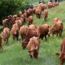 병인농장 이미지