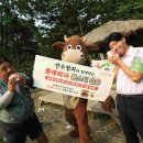 몬스터고 이미지