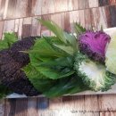 계절쌈가 이미지