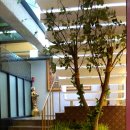 타지(서초점) 이미지