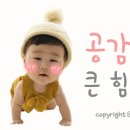 P(피)몰