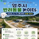 반려동물놀이터 네이버블로그