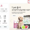 레인보우텔레콤 이미지