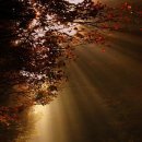 빛과 그림자 이미지