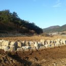 푸른들공인중개사사무소 이미지