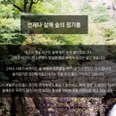 숲에온