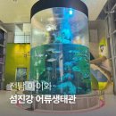 진주 근교 아이와 나들이 섬진강 어류생태관 먹이 체험 후기