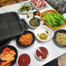 장수생오리 이미지