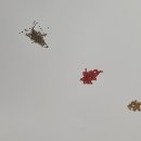 소립에너지 이미지