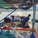 하동재첩 섬진강 이미지