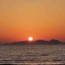 동호농장 이미지