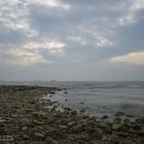 아버지의바다 이미지