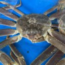 수원-1577 이미지