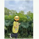 연꽃세상경로식당 | [부여 | 공주] 부여 연꽃축제부터 공주 밤 디저트 밤티셔츠까지 섭렵한 알찬 1박 2일 여행