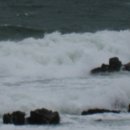 바다소식 이미지