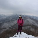 매봉산1 Daum카페