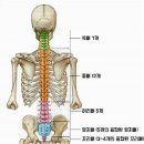 임상심리학 이미지