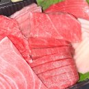 권대식의 참치회방꾼 이미지