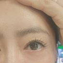 나비프라자 | 시흥 은계지구 속눈썹 연장 블루나비 다녀온 솔직후기