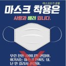 캐슬 태권도 체육관 이미지