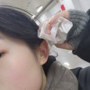낙타샵 이미지