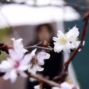진해구 ⓒ-42 이미지