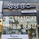 멍냥캉스 이미지